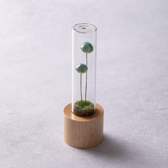 きのこの照明　ホッカムリ（ツヤ） 5枚目の画像