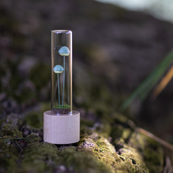 きのこの照明　ホッカムリ（ツヤ） 4枚目の画像