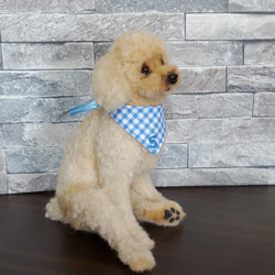 羊毛フェルト＃犬 リアルで可愛い 愛犬さん オーダー制作・わんちゃん