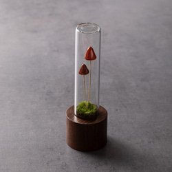 きのこの照明　カサチョコダケ（ツヤ2本） 5枚目の画像