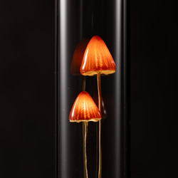 きのこの照明　カサチョコダケ（ツヤ2本） 4枚目の画像