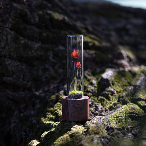 きのこの照明　カサチョコダケ（ツヤ2本） 1枚目の画像