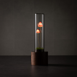 きのこの照明　カサチョコダケ（ツヤ2本） 3枚目の画像