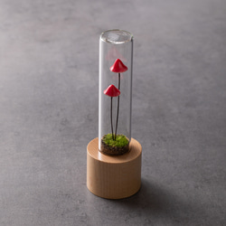 【いつもありがとうクーポン配布中！】きのこの照明　ズキンダケ（ツヤ） 3枚目の画像