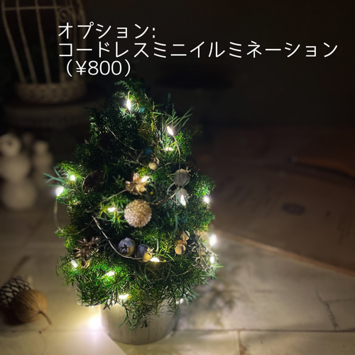 ブルー＆グリーン大人色の小さなクリスマスツリー＊プリザーブド