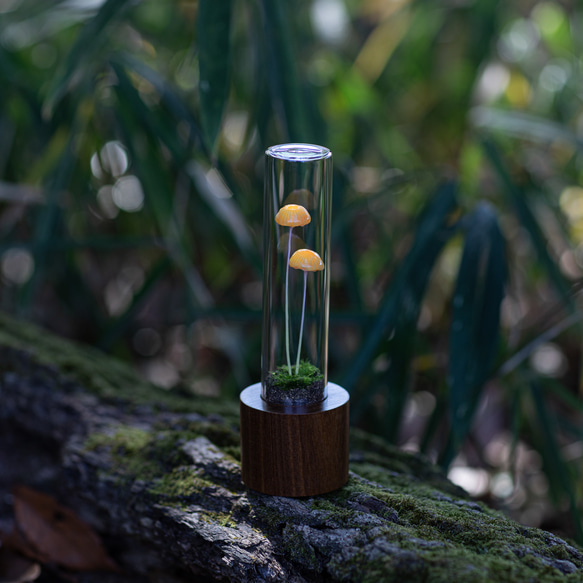 きのこの照明　ミカンアメダケ（ツヤ） 2枚目の画像