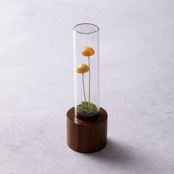 きのこの照明　ミカンアメダケ（ツヤ） 5枚目の画像