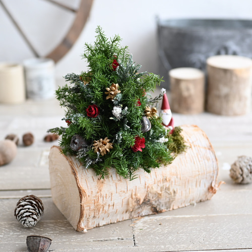 サンタの住む森ミニツリー＊白樺＆プリザーブドの卓上サイズ