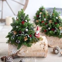 サンタの住む森ミニツリー＊白樺＆プリザーブドの卓上サイズ