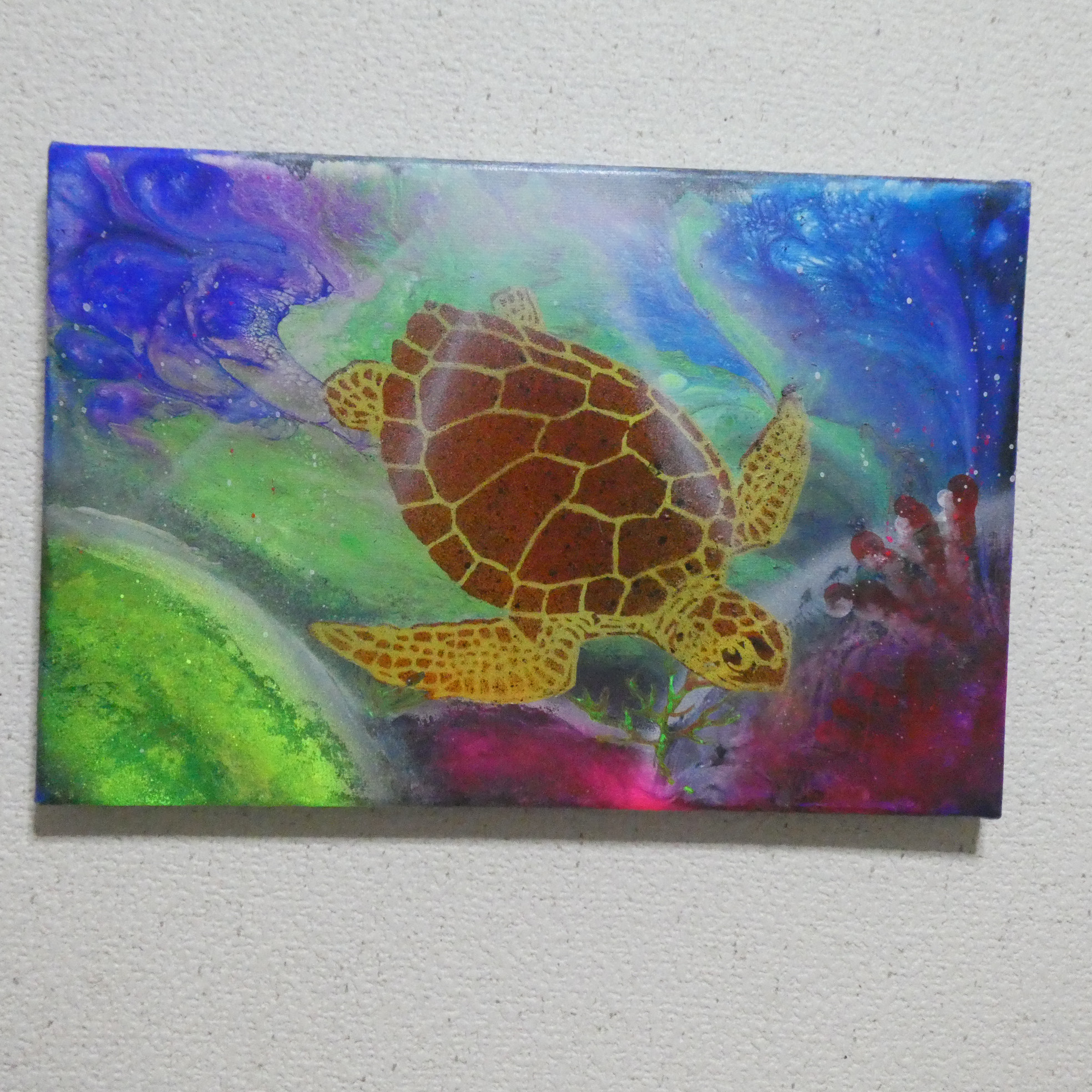 楽天市場】海の絵 亀 HONU ホヌ ウミガメ ファブリックパネル