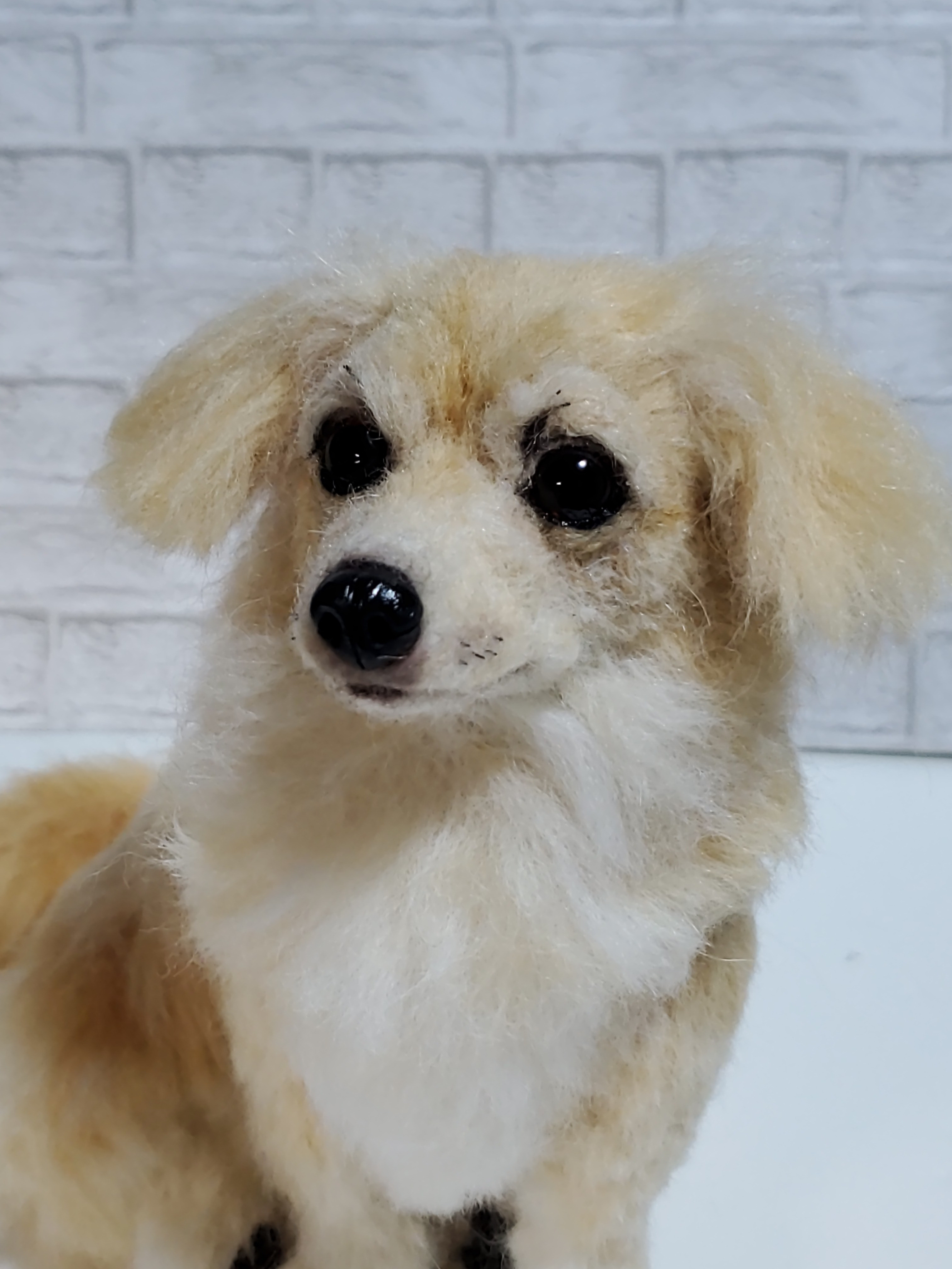 羊毛フェルトオーダーメイド、羊毛フェルト、受注制作、羊毛フェルト犬、ペットロス