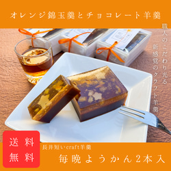 父の日にも【送料無料】クラフト羊羹2本入 オレンジ錦玉羹とチョコレート羊羹 和菓子 誕生日 プレゼント おつまみ 1枚目の画像