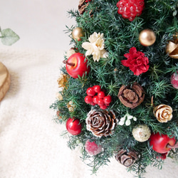 [Sサイズ]来年も飾れる♡飾りと器が選べる*本物のヒムロスギとたっぷりの木の実で作る北欧風卓上クリスマスツリー28cm 11枚目の画像