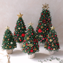 [Sサイズ]来年も飾れる♡飾りと器が選べる*本物のヒムロスギとたっぷりの木の実で作る北欧風卓上クリスマスツリー28cm 16枚目の画像