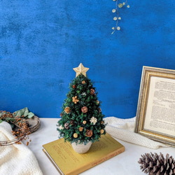 [Sサイズ]来年も飾れる♡飾りと器が選べる*本物のヒムロスギとたっぷりの木の実で作る北欧風卓上クリスマスツリー28cm 13枚目の画像