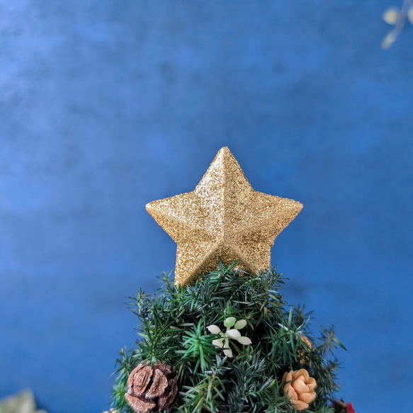 [Sサイズ]来年も飾れる♡飾りと器が選べる*本物のヒムロスギとたっぷりの木の実で作る北欧風卓上クリスマスツリー28cm 9枚目の画像