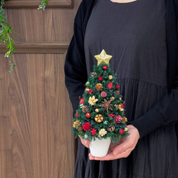 [Sサイズ]来年も飾れる♡飾りと器が選べる*本物のヒムロスギとたっぷりの木の実で作る北欧風卓上クリスマスツリー28cm 10枚目の画像