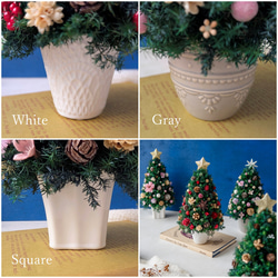 [Sサイズ]来年も飾れる♡飾りと器が選べる*本物のヒムロスギとたっぷりの木の実で作る北欧風卓上クリスマスツリー28cm 3枚目の画像