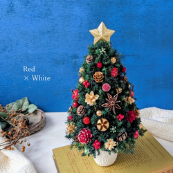 [Sサイズ]来年も飾れる♡飾りと器が選べる*本物のヒムロスギとたっぷりの木の実で作る北欧風卓上クリスマスツリー28cm 5枚目の画像