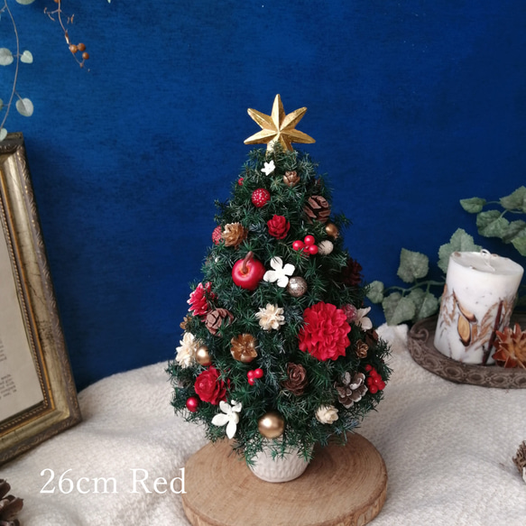 [26cmレッド]本物のヒムロスギとたっぷりの木の実で作る北欧風卓上クリスマスツリー 1枚目の画像