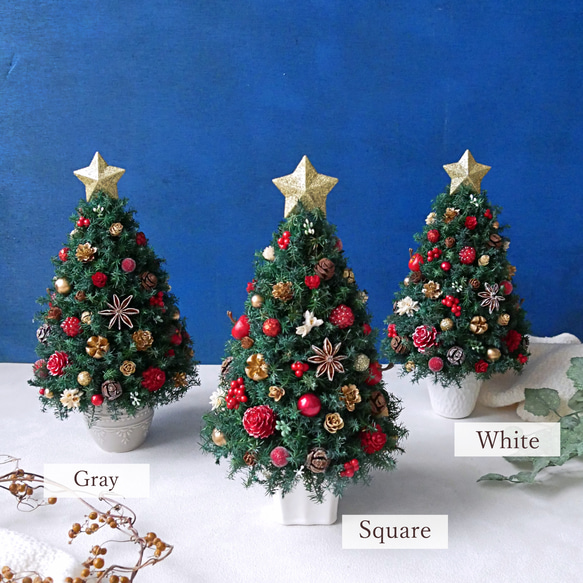 [Sサイズ]来年も飾れる♡飾りと器が選べる*本物のヒムロスギとたっぷりの木の実で作る北欧風卓上クリスマスツリー28cm 4枚目の画像