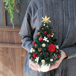 [26cmレッド]本物のヒムロスギとたっぷりの木の実で作る北欧風卓上クリスマスツリー 2枚目の画像