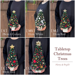 [Sサイズ]来年も飾れる♡飾りと器が選べる*本物のヒムロスギとたっぷりの木の実で作る北欧風卓上クリスマスツリー28cm 15枚目の画像