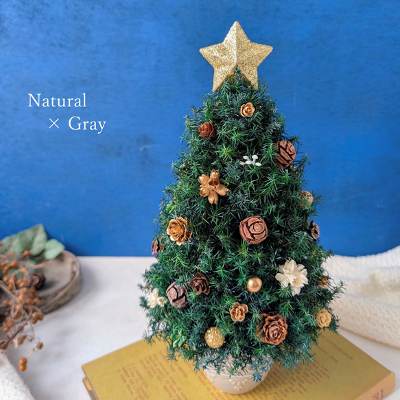 [Sサイズ]来年も飾れる♡飾りと器が選べる*本物のヒムロスギとたっぷりの木の実で作る北欧風卓上クリスマスツリー28cm 6枚目の画像