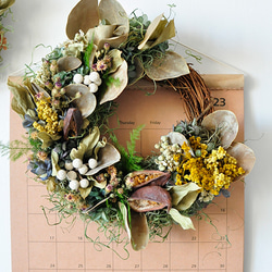 ドライフラワー リース】ヤマハハコと初雪草のホワイトグリーンリース