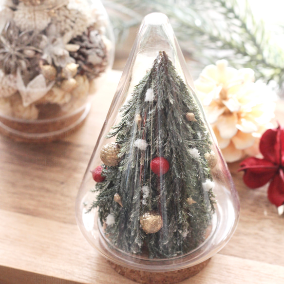 Creema限定 ボトルに入った小さなクリスマスツリー : オトナ可愛い
