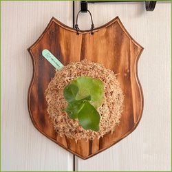 cabf6d42dd9ba1f9b9f2c0281ae770