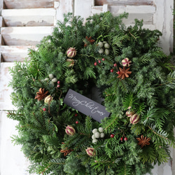 フレッシュグリーンクリスマスリース リース Julia 通販 16717220