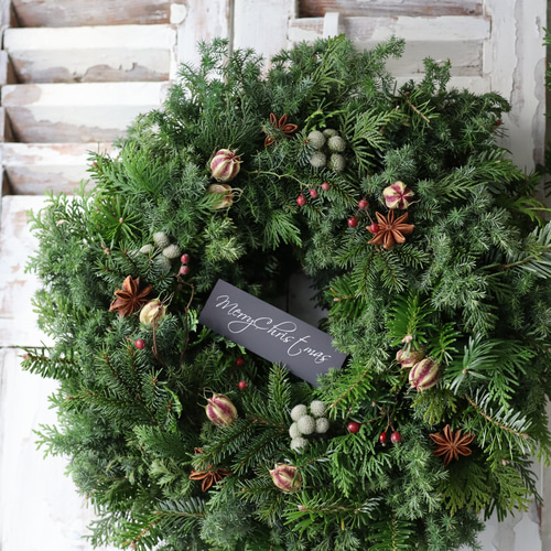 フレッシュグリーンクリスマスリース リース Julia 通販 16717220