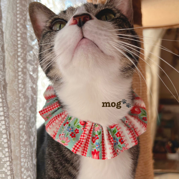 シュシュ チューリップ猫ちゃん