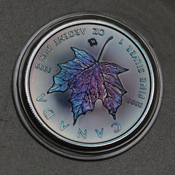 銀貨　トーンドシルバーコイン　Gump作　23061503 4枚目の画像