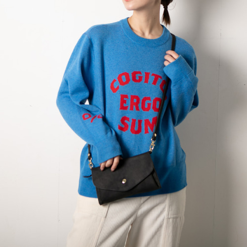 限定品‼️❤️COACH❤️レキシー サーフィン お財布 ショルダーバッグ 限定品‼️❤️COACH❤️レキシー サーフィン お財布 ショルダー