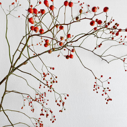 野ばら 枝物 赤い実 野薔薇の実 インテリア60〜80㎝2本 ドライフラワー  