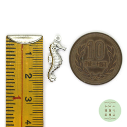 真鍮製のタツノオトシゴの立体チャーム（シルバーカラー）2個セット #C-0203 4枚目の画像