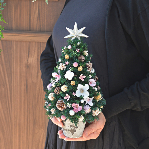 ブラックフライデー】[MSサイズ]来年も飾れる♡本物のヒムロスギと