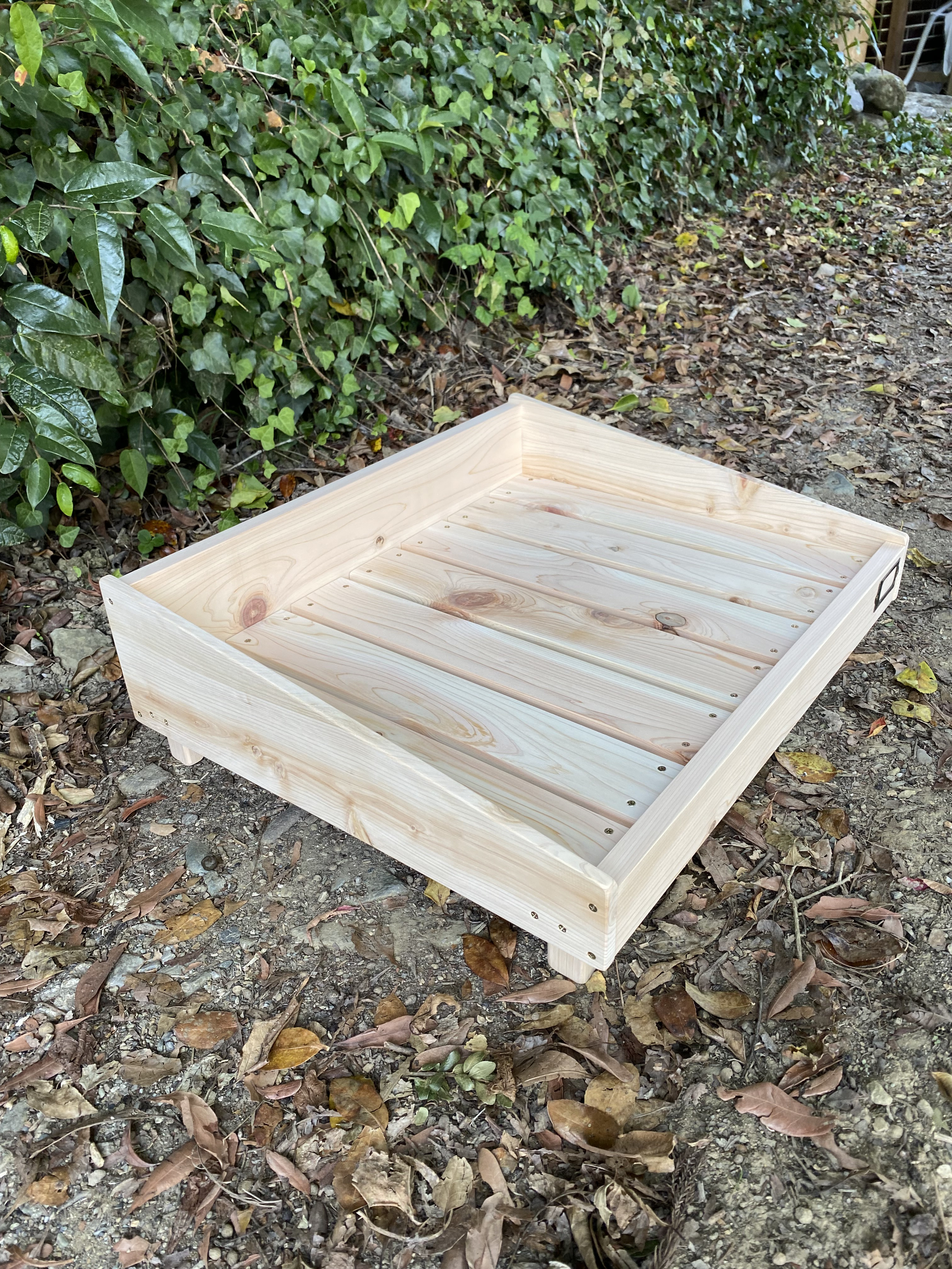 ひのき香る"ぼくのわんだふるベッド"  白木ver.