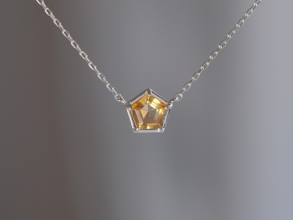 アクセサリー minarun K18イエローゴールドアコヤ真珠ネックレス（4.5mm）(RPN845-002