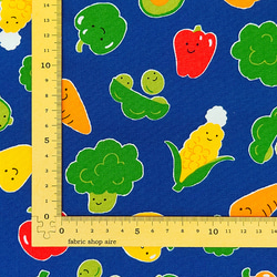 オックス生地【50×110cm】野菜 ベジタブル カラフル にっこり 生地 布 9枚目の画像