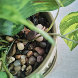 フェイクグリーンの鉢植え(ポトス) ／ストレートライン陶器  ／人工観葉植物 6枚目の画像