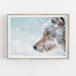 冬の王者 - 緑の瞳の狼と雪のコラボレーション 雪の狼ポスター e802 1枚目の画像