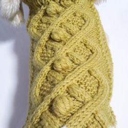【犬用セーター】マスタードカラーの元気なニット出来ました❢こちらはMサイズです 3枚目の画像