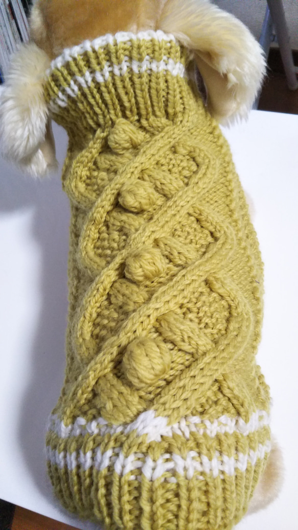 【犬用セーター】マスタードカラーの元気なニット出来ました❢こちらはMサイズです 3枚目の画像