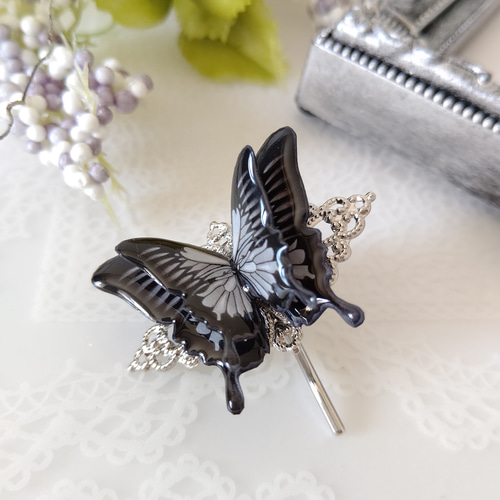 ブラック&パープルバタフライ。 黒い蝶々 紫の蝶々。【蝶々