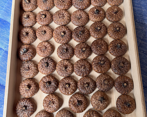 a74e45378189358ac110efe59ff548