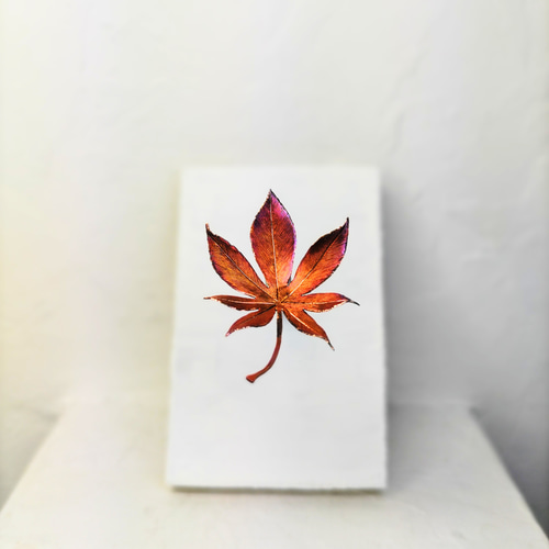 紅葉 もみじ 立体・オブジェ luckyclover_ken 通販 16720254