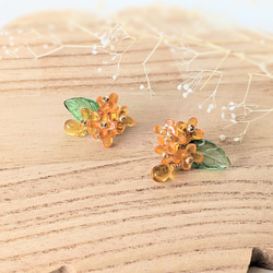 花薫る　金木犀　ピアス　イヤリング　オレンジ 1枚目の画像